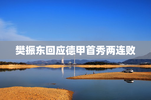 樊振东回应德甲首秀两连败