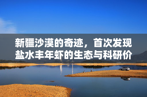 新疆沙漠的奇迹，首次发现盐水丰年虾的生态与科研价值