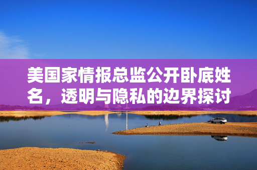 美国家情报总监公开卧底姓名，透明与隐私的边界探讨