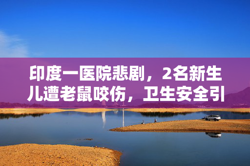 印度一医院悲剧，2名新生儿遭老鼠咬伤，卫生安全引深思