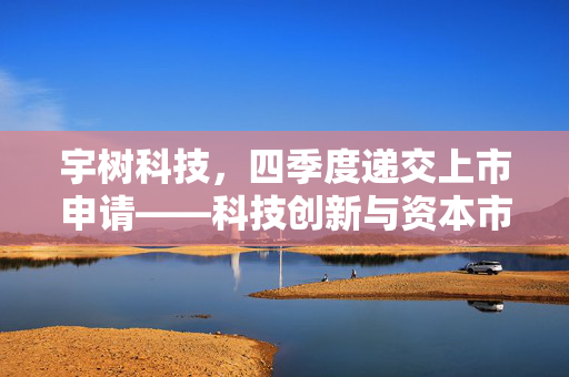宇树科技，四季度递交上市申请——科技创新与资本市场的双重飞跃