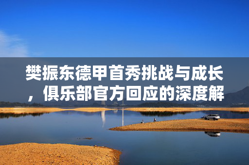 樊振东德甲首秀挑战与成长，俱乐部官方回应的深度解析与展望