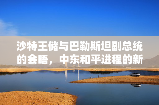 沙特王储与巴勒斯坦副总统的会晤，中东和平进程的新曙光