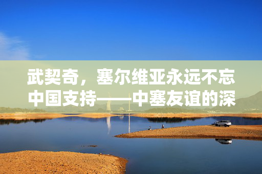 武契奇，塞尔维亚永远不忘中国支持——中塞友谊的深厚纽带与未来展望
