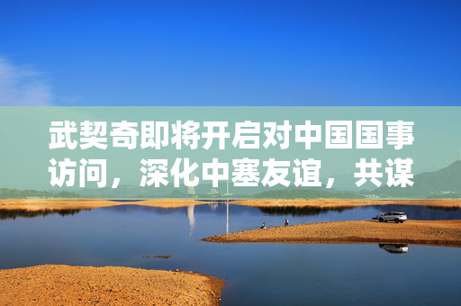 武契奇即将开启对中国国事访问，深化中塞友谊，共谋发展新篇章