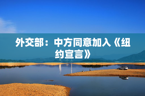 外交部：中方同意加入《纽约宣言》
