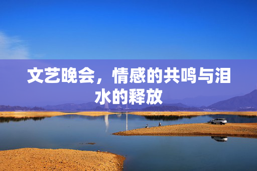 文艺晚会，情感的共鸣与泪水的释放