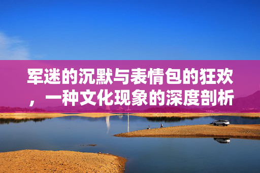 军迷的沉默与表情包的狂欢，一种文化现象的深度剖析
