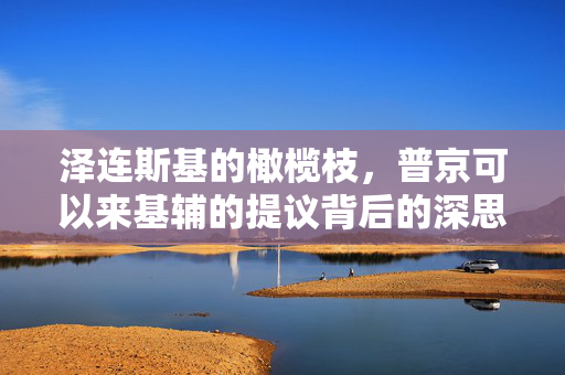 泽连斯基的橄榄枝，普京可以来基辅的提议背后的深思