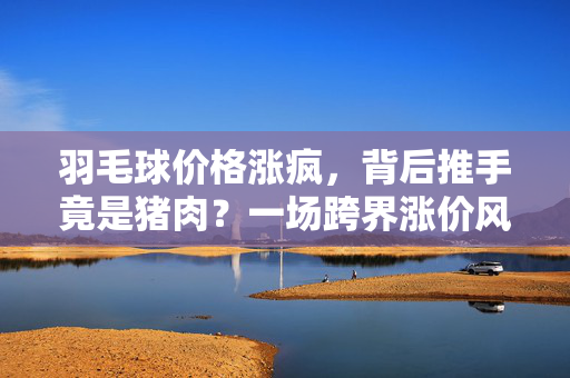羽毛球价格涨疯，背后推手竟是猪肉？一场跨界涨价风暴的深度剖析
