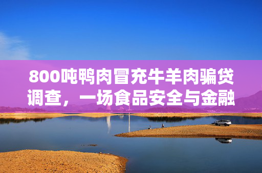 800吨鸭肉冒充牛羊肉骗贷调查，一场食品安全与金融欺诈的双重风暴