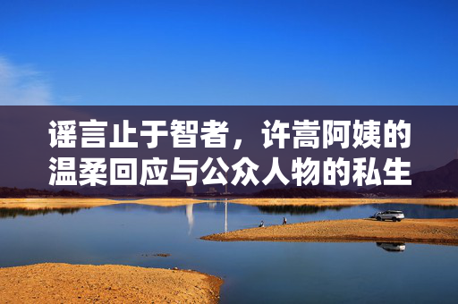 谣言止于智者，许嵩阿姨的温柔回应与公众人物的私生活保护