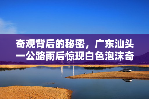 奇观背后的秘密，广东汕头一公路雨后惊现白色泡沫奇景