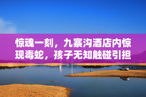 惊魂一刻，九寨沟酒店内惊现毒蛇，孩子无知触碰引担忧