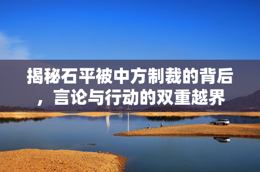 揭秘石平被中方制裁的背后，言论与行动的双重越界