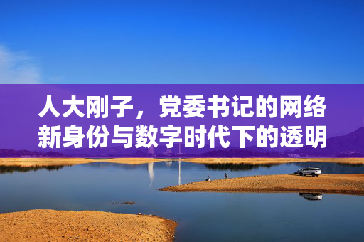 人大刚子，党委书记的网络新身份与数字时代下的透明与互动