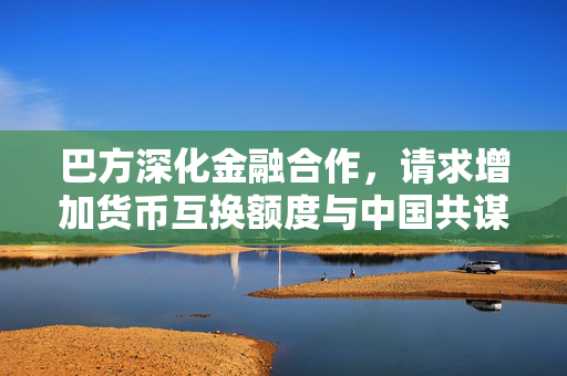 巴方深化金融合作，请求增加货币互换额度与中国共谋发展
