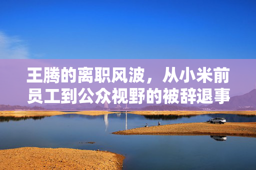 王腾的离职风波，从小米前员工到公众视野的被辞退事件