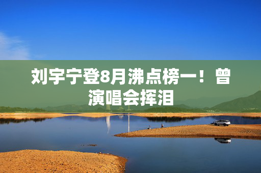 刘宇宁登8月沸点榜一！曾演唱会挥泪