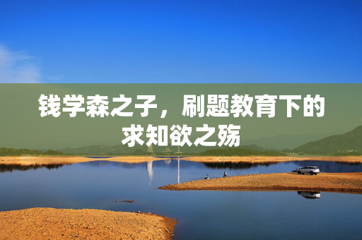 钱学森之子，刷题教育下的求知欲之殇