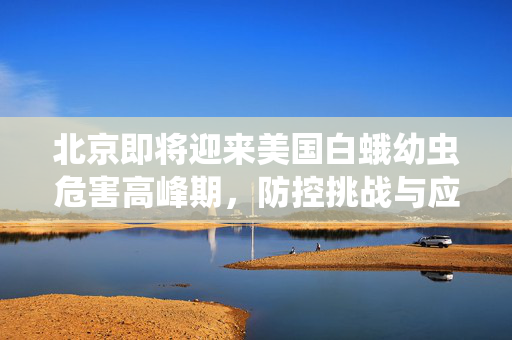 北京即将迎来美国白蛾幼虫危害高峰期，防控挑战与应对策略