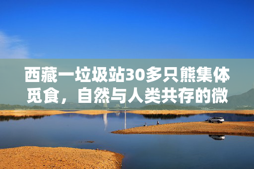 西藏一垃圾站30多只熊集体觅食，自然与人类共存的微妙平衡