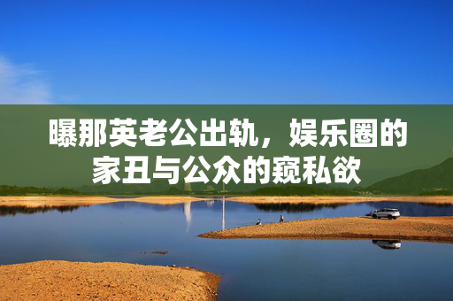曝那英老公出轨，娱乐圈的家丑与公众的窥私欲