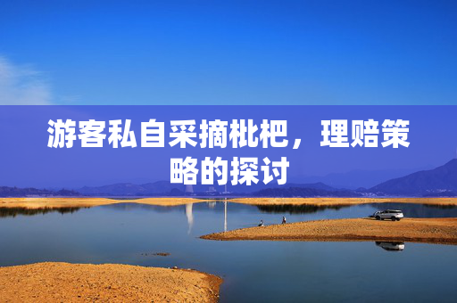 游客私自采摘枇杷，理赔策略的探讨