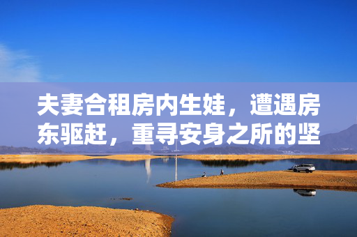 夫妻合租房内生娃，遭遇房东驱赶，重寻安身之所的坚韧之路