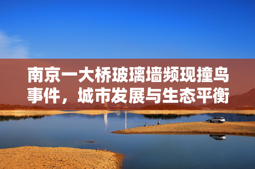 南京一大桥玻璃墙频现撞鸟事件，城市发展与生态平衡的微妙博弈