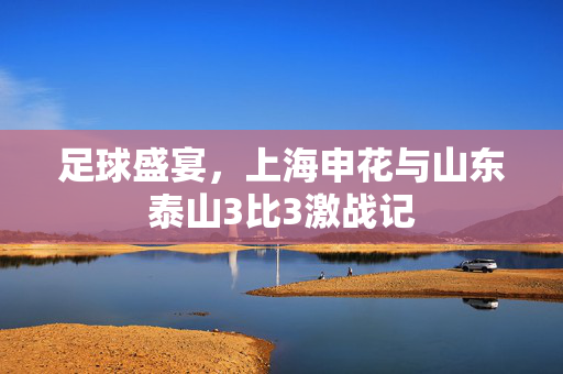 足球盛宴，上海申花与山东泰山3比3激战记