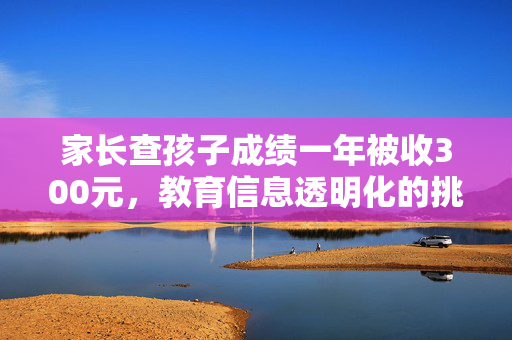 家长查孩子成绩一年被收300元，教育信息透明化的挑战与思考