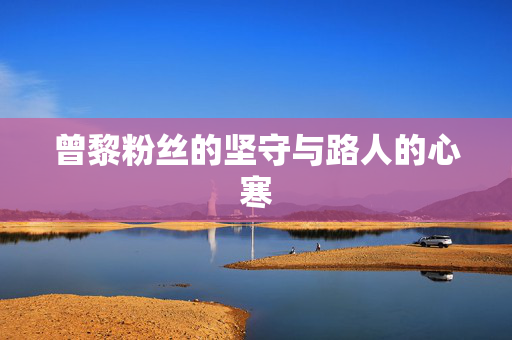 曾黎粉丝的坚守与路人的心寒