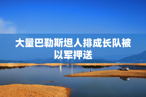大量巴勒斯坦人排成长队被以军押送