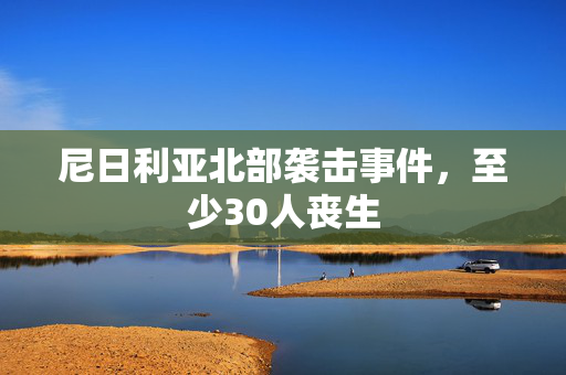 尼日利亚北部袭击事件，至少30人丧生