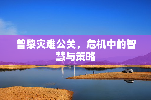 曾黎灾难公关，危机中的智慧与策略