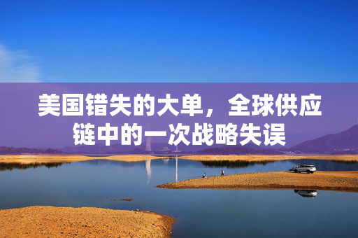 美国错失的大单，全球供应链中的一次战略失误