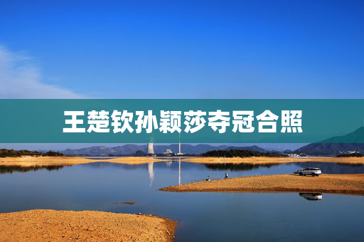 王楚钦孙颖莎夺冠合照