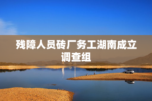 残障人员砖厂务工湖南成立调查组