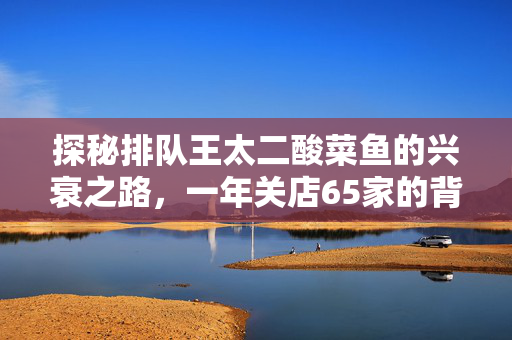 探秘排队王太二酸菜鱼的兴衰之路，一年关店65家的背后