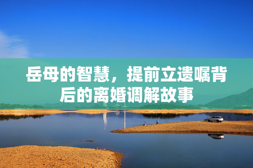岳母的智慧，提前立遗嘱背后的离婚调解故事