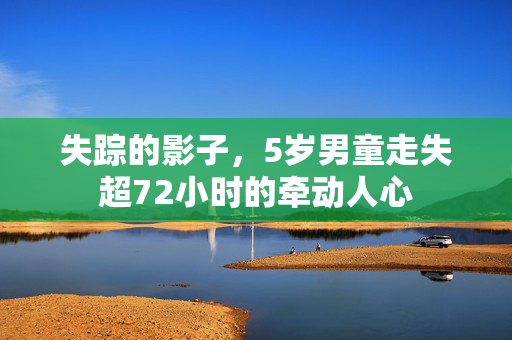 失踪的影子，5岁男童走失超72小时的牵动人心