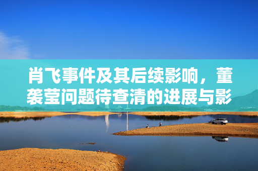 肖飞事件及其后续影响，董袭莹问题待查清的进展与影响