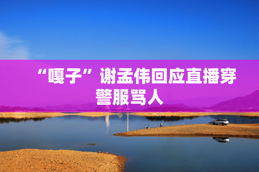 “嘎子”谢孟伟回应直播穿警服骂人