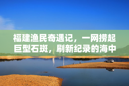 福建渔民奇遇记，一网捞起巨型石斑，刷新纪录的海中猛将