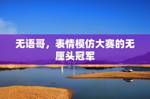 无语哥，表情模仿大赛的无厘头冠军