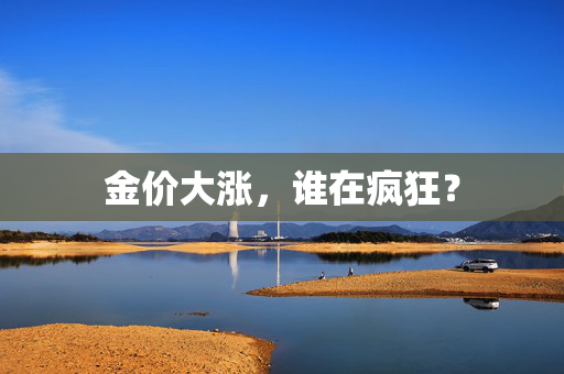 金价大涨，谁在疯狂？