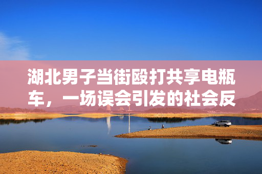 湖北男子当街殴打共享电瓶车，一场误会引发的社会反思