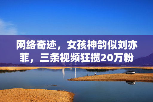 网络奇迹，女孩神韵似刘亦菲，三条视频狂揽20万粉丝的颜值经济探索