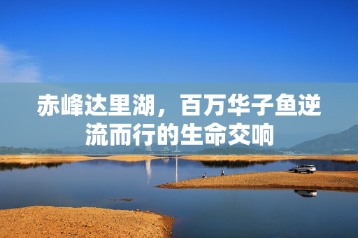 赤峰达里湖，百万华子鱼逆流而行的生命交响